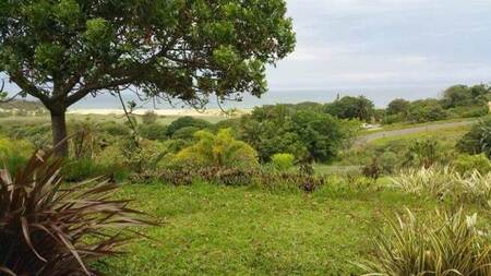 1 Bed Simplex in Shelly Beach