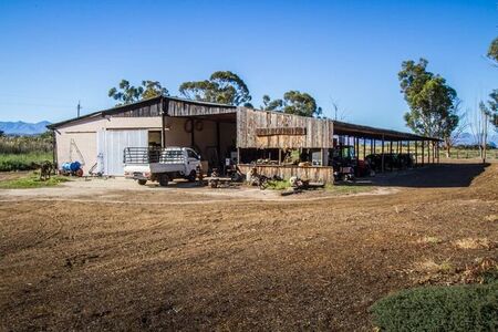 90Ha Farm For Sale in Oudtshoorn Rural