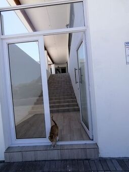 4 Bedroom Freehold To Let in Yzerfontein
