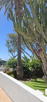 1 Bedroom Apartment in Sea Point