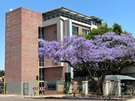 1 Bedroom Apartment in Clydesdale