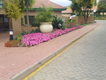 2 Bedroom Townhouse in Equestria