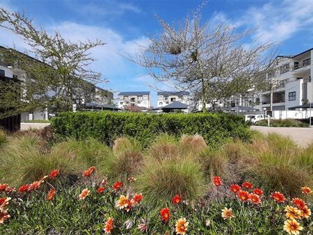 1 Bedroom Apartment in Firgrove