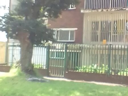 2.5 Bedroom Flat in Regents Park