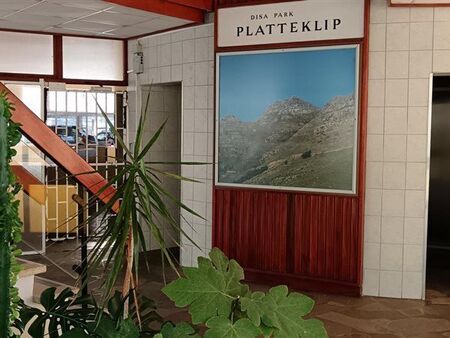Bachelor apartment in Vredehoek