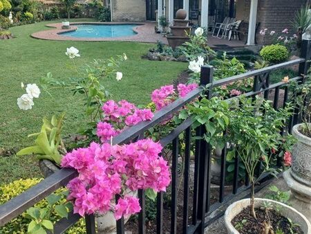 1 Bedroom Apartment in Westville North