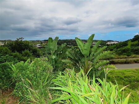 3 Bedroom Apartment in Zululami Luxury Coastal Estate