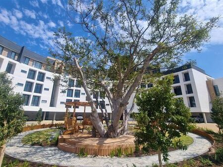 1 Bedroom Apartment in Century City