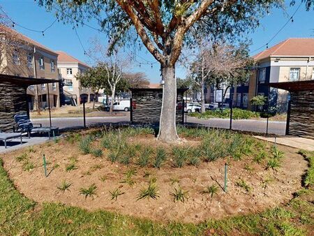 Studio Apartment in Fourways