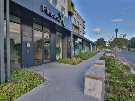 Studio Apartment in Pinelands
