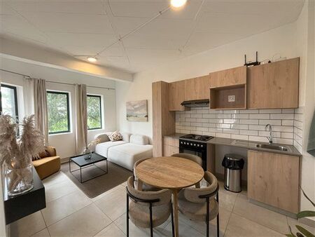 1 Bedroom Apartment in Illovo