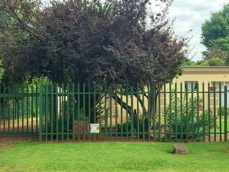 1 Bedroom Apartment in Dalview