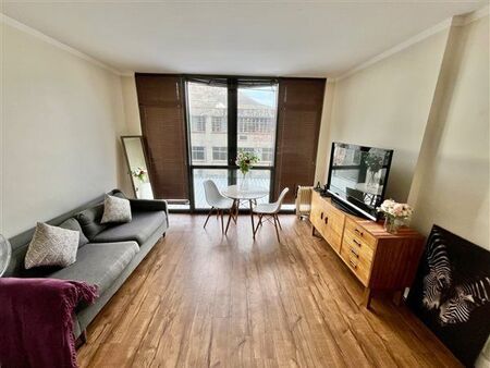 1 Bedroom Apartment in Zonnebloem