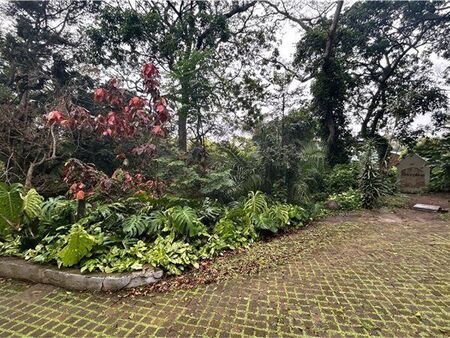 1 Bedroom Apartment in Banners Rest
