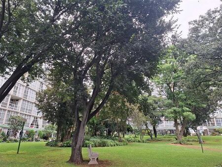 2 Bedroom Apartment in Bedfordview