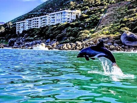 2 Bedroom Apartment in Hout Bay and surrounds