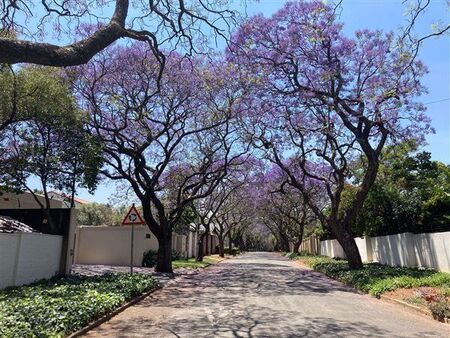 1 Bedroom House in Parkwood