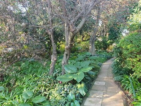 3 Bedroom Apartment in Hyde Park