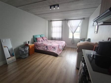 Studio apartment in Pinelands