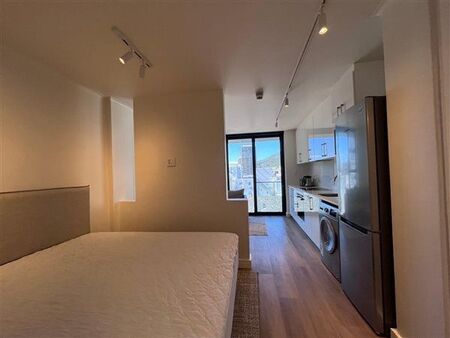 1 Bedroom Apartment in Cape Town City Centre