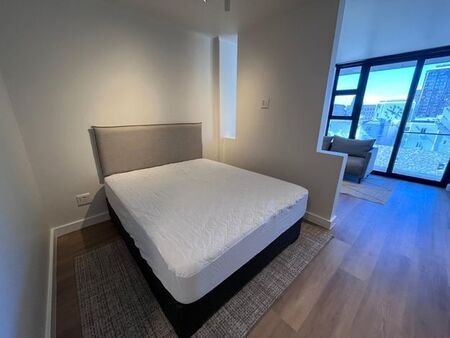 1 Bedroom apartment to rent in Cape Town City Centre