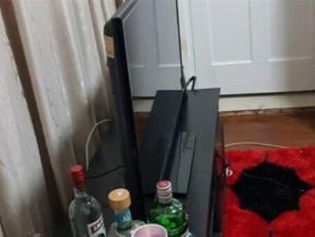 1 Bedroom Apartment in Kensington