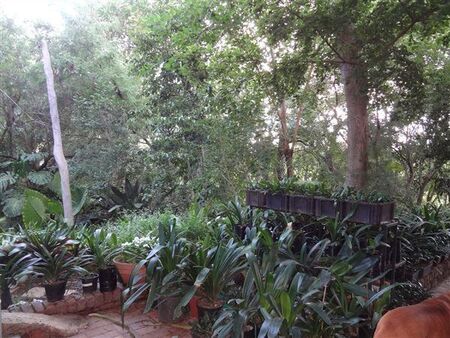 1 Bedroom Apartment in Lynnwood Glen