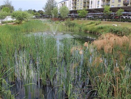 1 Bedroom Apartment in Witfield