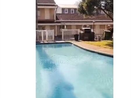 Studio Apartment in Glenwood