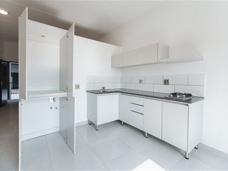 1 Bedroom Apartment in Ferndale