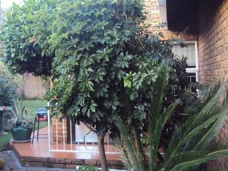 3 Bedroom House in Aston Manor
