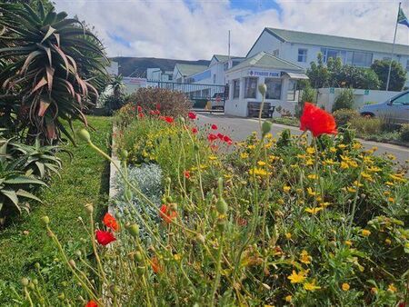 1 Bedroom Apartment in Westcliff