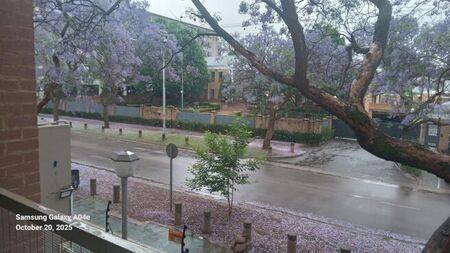 1 Bedroom bachelor apartment to rent in Hatfield, Pretoria
