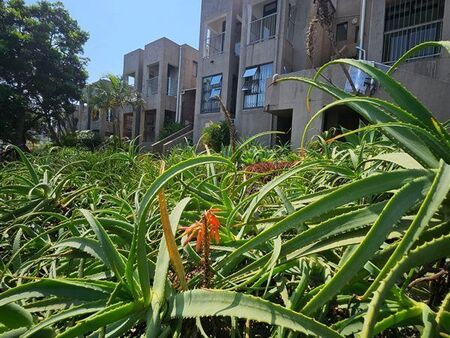 4 Bedroom Apartment in Tinley Manor