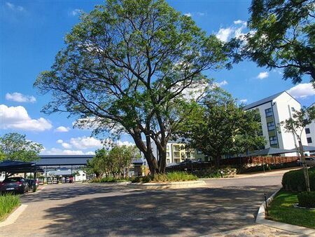 1 Bedroom Apartment in Linbro Park