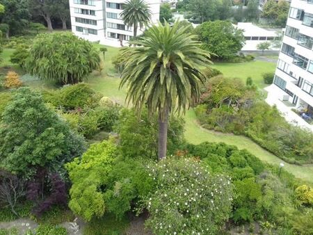 Studio apartment in Claremont Upper