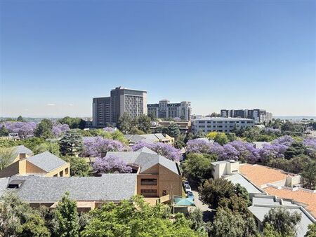 2 Bedroom Apartment in Morningside