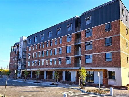 Studio Apartment in Pinelands