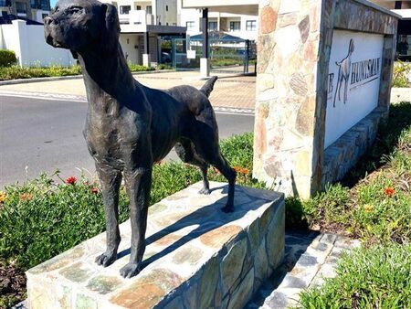 1 Bedroom Apartment in Firgrove