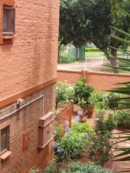 Bachelor apartment in Riviera