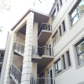 1 Bedroom Apartment in Morningside