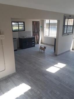 Bachelor apartment in Birchleigh