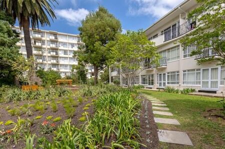Studio Apartment in Rondebosch