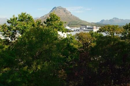 0.5 Bedroom House in La Colline