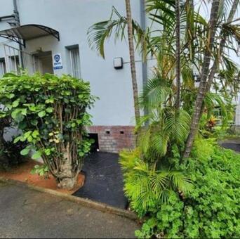 1 Bedroom Apartment in Morningside