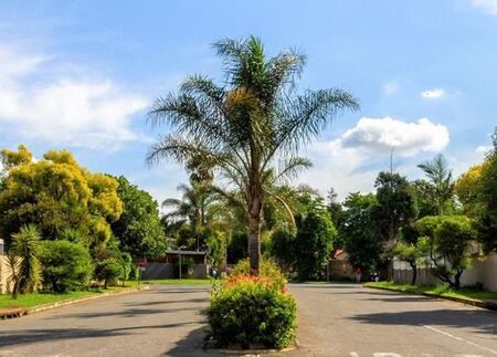 1 Bedroom Apartment in Northwold