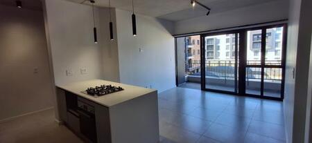 2 Bedroom Apartment in Brooklyn