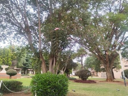 1 Bedroom bachelor apartment to rent in Albertville, Johannesburg