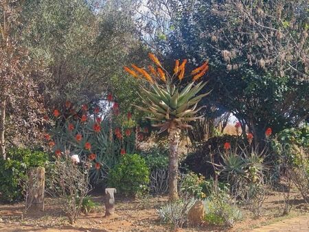 2 Bedroom Apartment in Alra Park