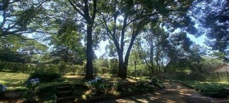 3 Bedroom House in Hilton